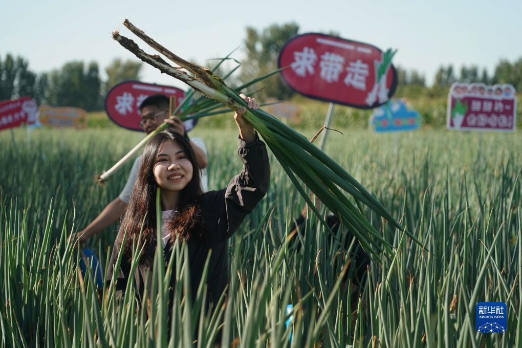 老虎机后面4个键作用